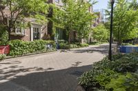 Canadian City: Toronto Streets in Residential Neighborhood