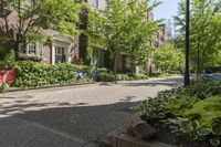 Toronto Residential Neighborhood Streets (002)