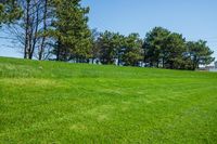 Canadian Countryside: Exploring Open Spaces and Lush Grass