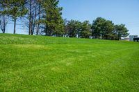 Canadian Countryside: Exploring Open Spaces and Lush Grass