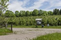 Canadian Dirt Road: Through Pasture and Field