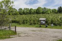 Canadian Dirt Road: Through Pasture and Field