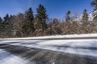 Canadian Evergreen Forest with Snowy Trees