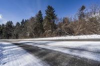 Canadian Evergreen Forest with Snowy Trees