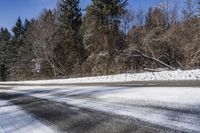 Canadian Evergreen Forest with Snowy Trees