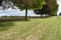 three trees in the middle of a grassy area with hedges near by them and a field between them