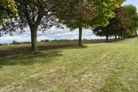 three trees in the middle of a grassy area with hedges near by them and a field between them