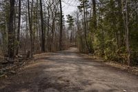 Canadian Forest Autumn Road