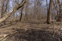 a person that is in the woods near some trees with a frisbee and an ice box