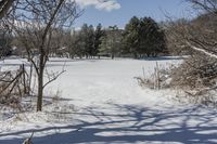 Canadian Forest: Frozen Lake, Snow, Sunlight (001)