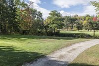 Canadian Forest: A View of Grass and Lawn