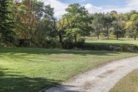 Canadian Forest: A View of Grass and Lawn