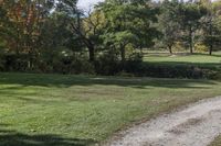 Canadian Forest: A View of Grass and Lawn