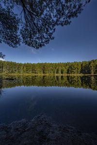 a lake sits surrounded by trees and water in the middle of a forest on a clear day