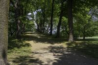 a pathway through the trees to a lake in a park on a clear day with sunlight