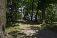 a pathway through the trees to a lake in a park on a clear day with sunlight