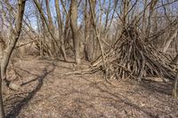 an open shelter of twigs made by two people with a fire hydrant in the middle of it