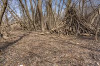 an open shelter of twigs made by two people with a fire hydrant in the middle of it