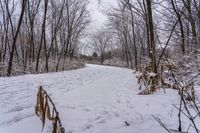 Canadian Forest Road on a Snowy Day