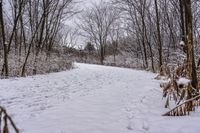 Canadian Forest Road on a Snowy Day