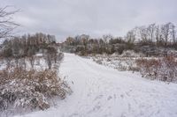 Canadian Forest Road: A Day Through the Grass