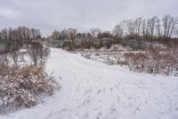 Canadian Forest Road: A Day Through the Grass