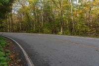 Canadian Forest Road Landscape