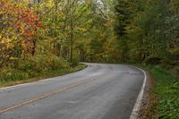 Canadian Forest Road in Ontario Landscape