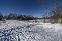 a snow covered field in the winter with shadows of a tree and a few snow on the ground