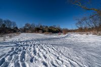 a snow covered field in the winter with shadows of a tree and a few snow on the ground