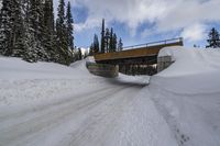 Canadian Forest: Snow Covered Bridge in Okanagan