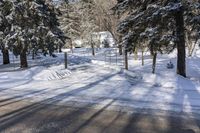 Canadian Forest: A Snow Covered Road Through Nature