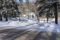 Canadian Forest: A Snow Covered Road Through Nature