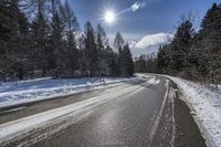 Canadian Forest: Snow-Covered Trees and Beautiful Scenery