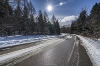 Canadian Forest: Snow-Covered Trees and Beautiful Scenery