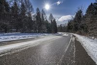 Canadian Forest: Snow-Covered Trees and Beautiful Scenery