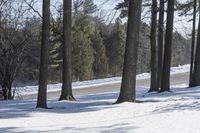 some trees and snow on a snowy road and a sign by the road with a tree in the foreground