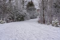 the path between snow covered trees and shrubbery is made of snow and has a long ski trail with two men skiing up it