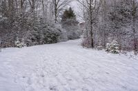 the path between snow covered trees and shrubbery is made of snow and has a long ski trail with two men skiing up it