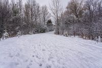 the path between snow covered trees and shrubbery is made of snow and has a long ski trail with two men skiing up it