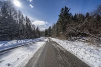 Canadian Forest Snowy Road Scenic View 001