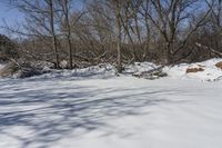 the view is from across a snow covered path with trees in the distance and a mound of snow near the edge