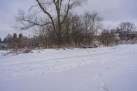 the tracks in the snow are not too large and they can be seen on the ground