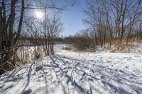 Canadian Grass Road: A Beautiful Day in Nature