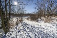 Canadian Grass Road: A Beautiful Day in Nature