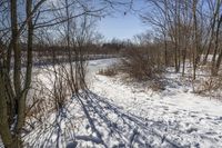 Canadian Grass Road: A Beautiful Day in Nature