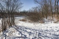 Canadian Grass Road: A Beautiful Day in Nature