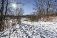 Canadian Grass Road: A Beautiful Day in Nature