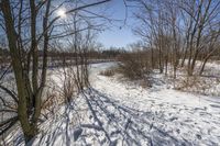 Canadian Grass Road: A Beautiful Day in Nature