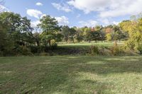 Canadian Grassland: A Haven for Woody Plants and Vegetation